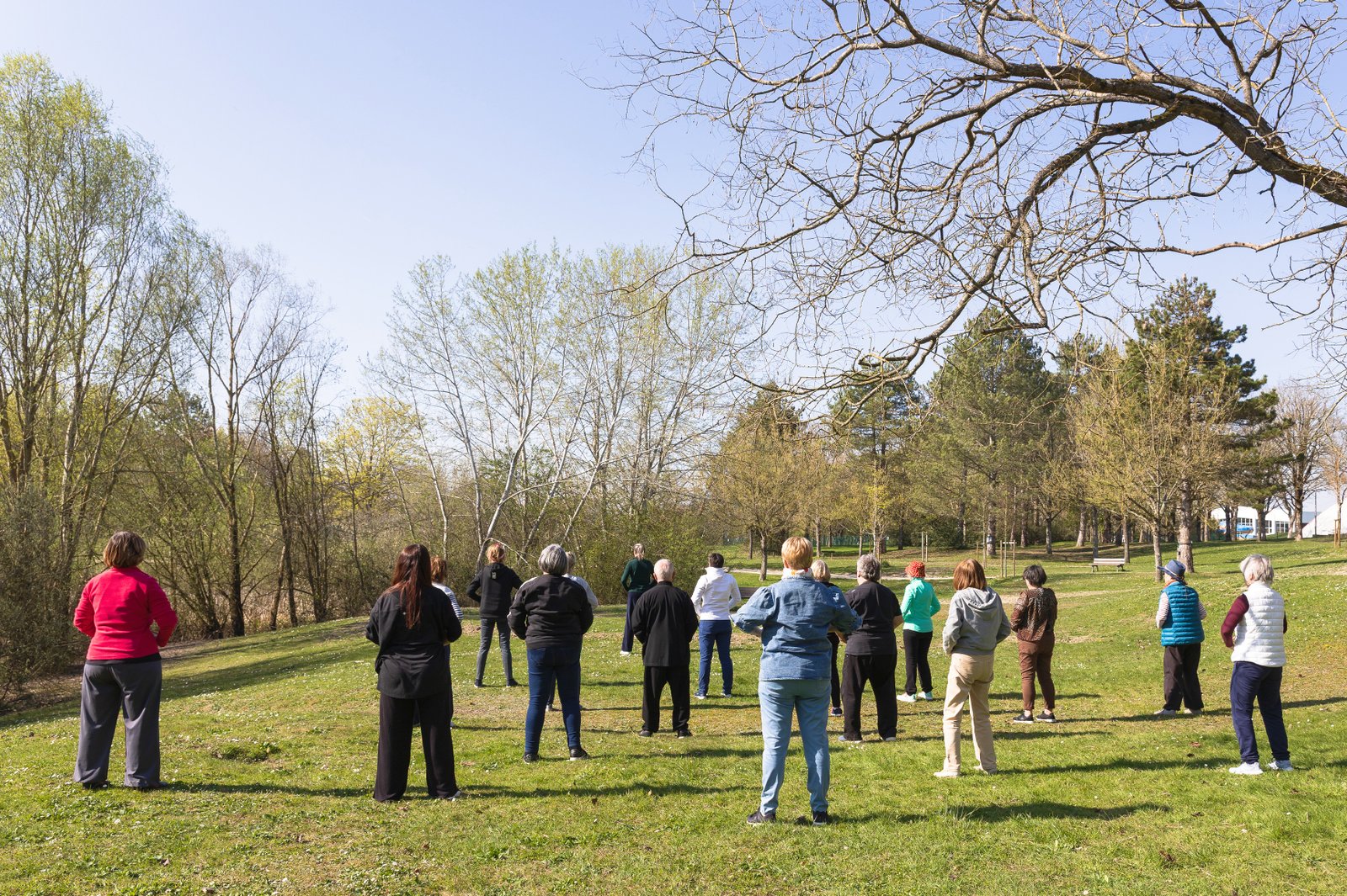 20/03/2026 - Atelier de Printemps en plein air – Dayan Qi Gong