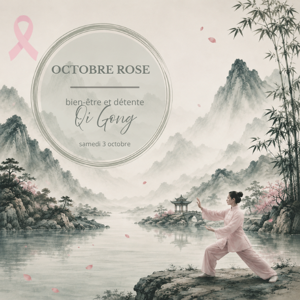 3 et 4/10/2026 - Octobre Rose à Troyes et Sainte-Savine (10)